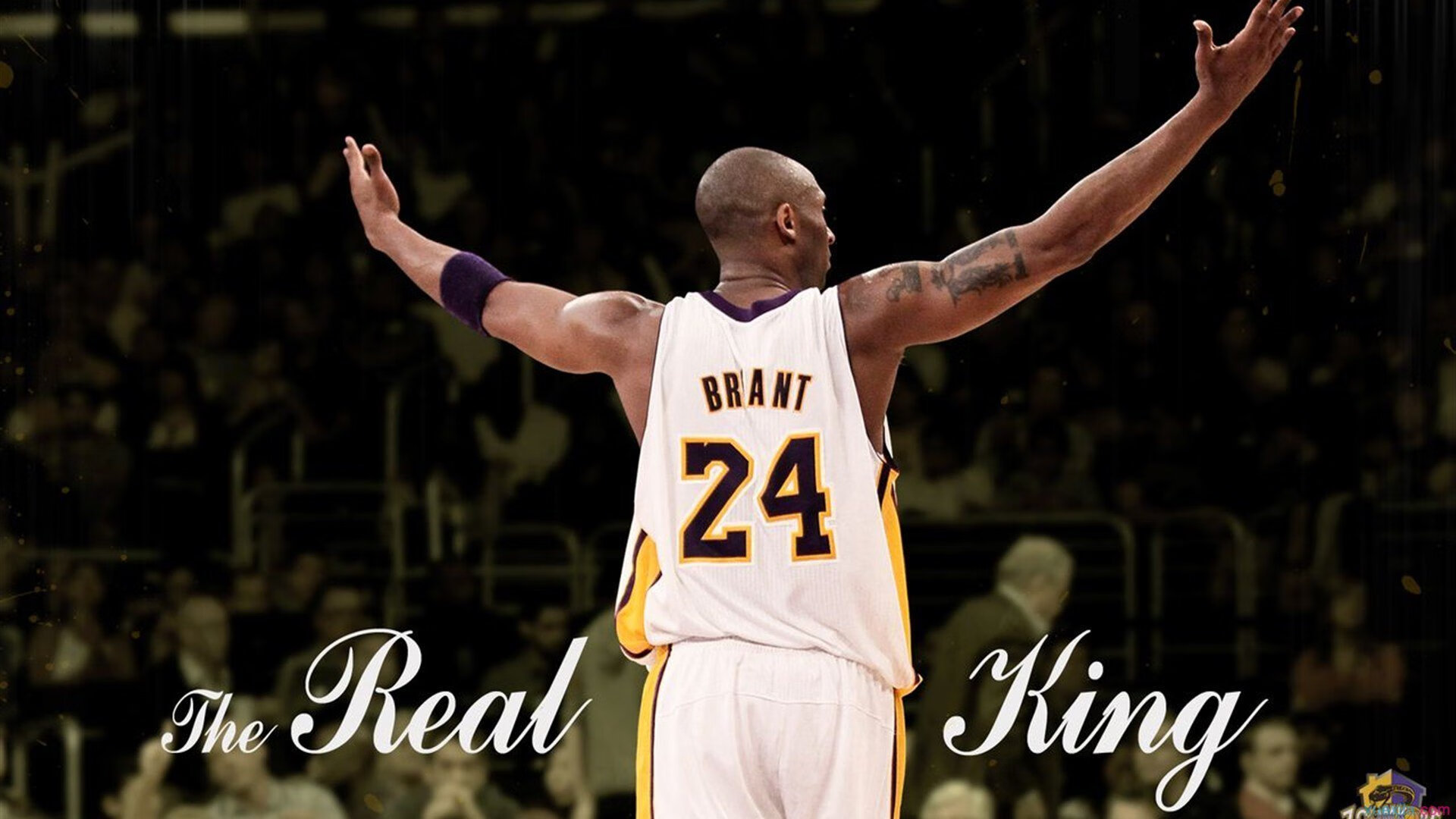 体育明星全球知名度